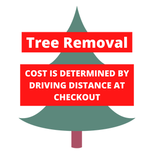Tree Removal - West LA