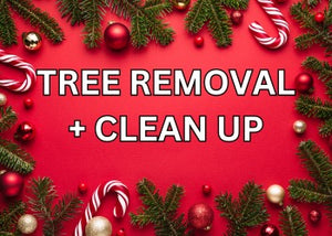 Tree Removal & Clean Up