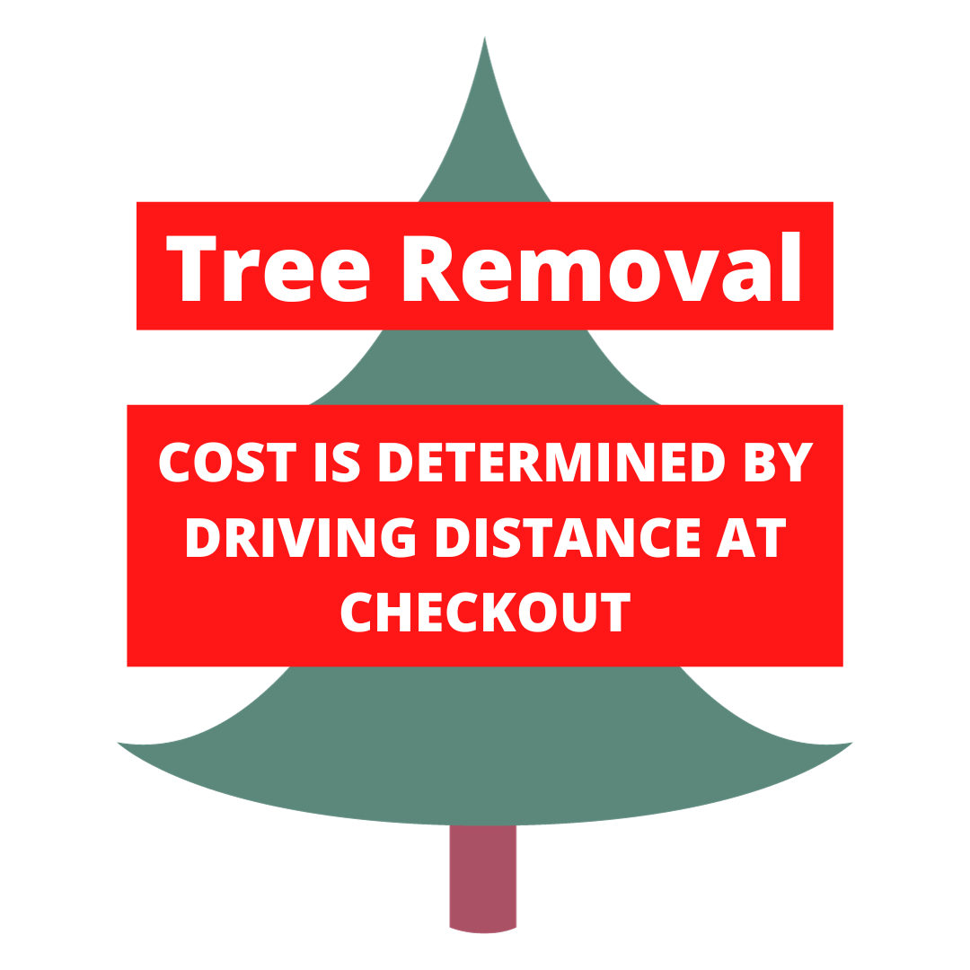 Tree Removal - Farmers Market