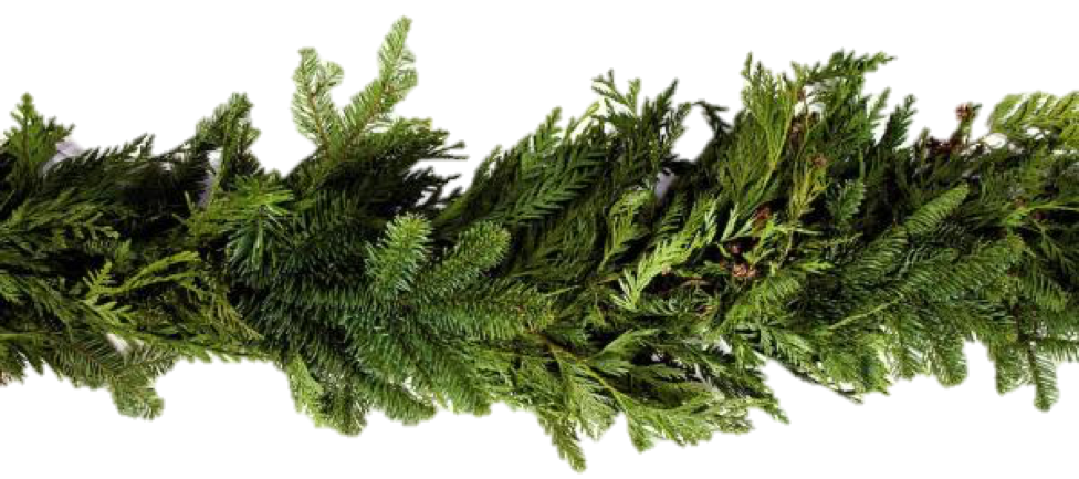 Fresh Garland - West LA
